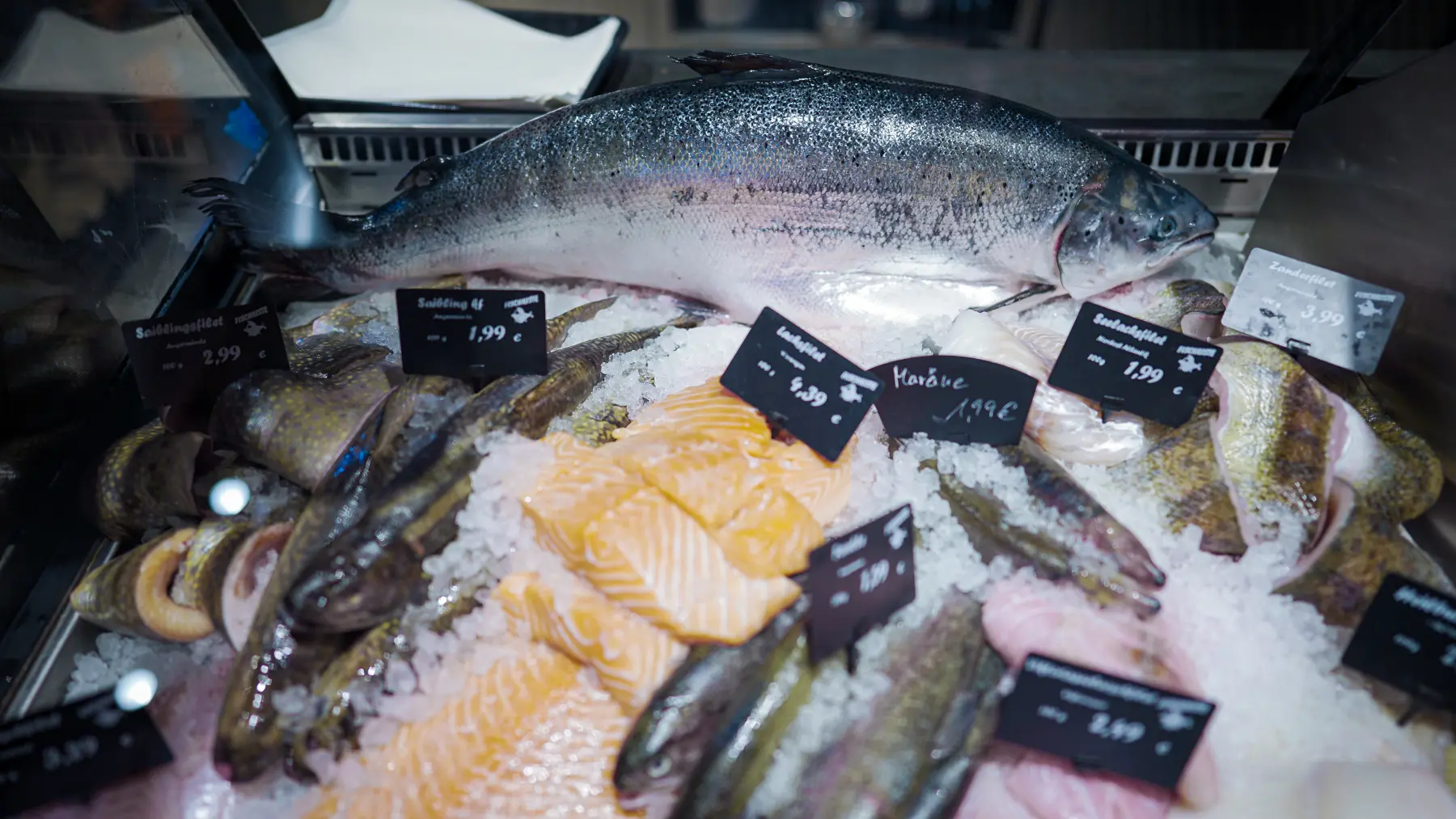 Fisch