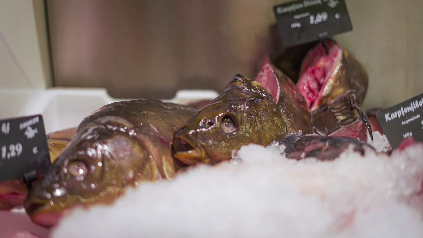 Fisch